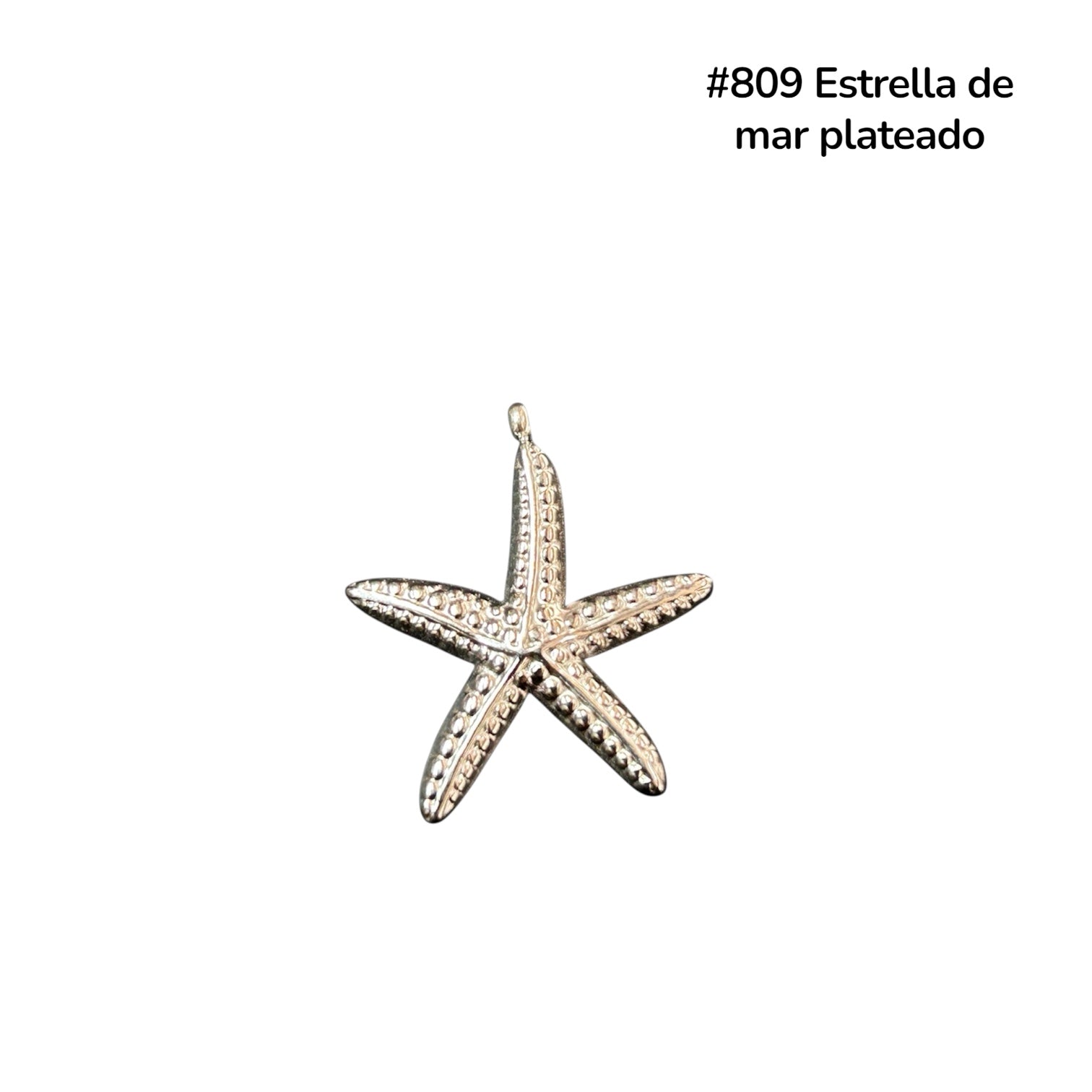 Dijes acero inoxidable 1 unidad